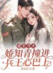 cover 3